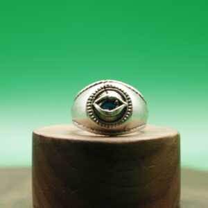Anillo Guardián
