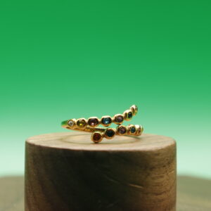 Anillo Arcoíris (ajustable)